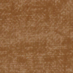 Premium905 vintage champagne